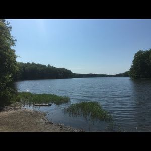 Meet your Posher, Celeste